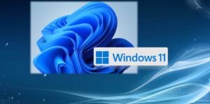 Windows 11