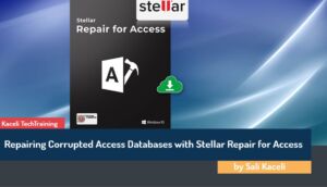stellar file recovery excel